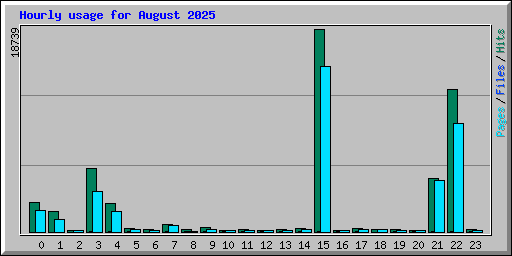 Hourly usage for August 2025