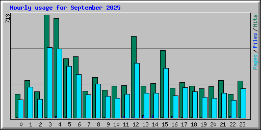 Hourly usage for September 2025