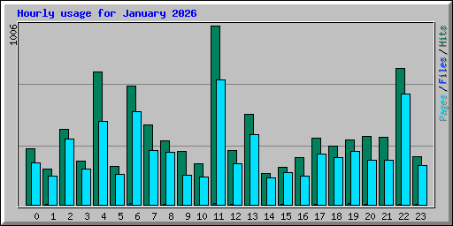 Hourly usage for January 2026